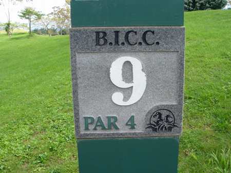 �r�b�O�A�C�����h�J���g���[�N���u 2004�N