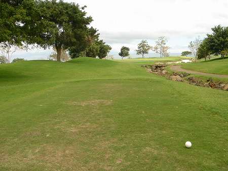 �r�b�O�A�C�����h�J���g���[�N���u 2004�N