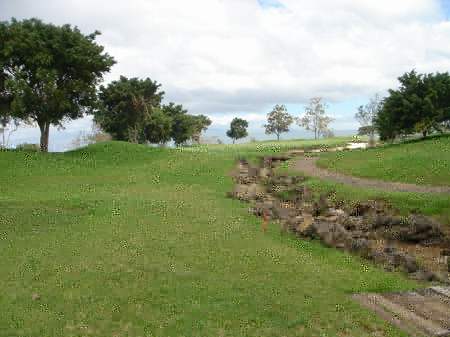 �r�b�O�A�C�����h�J���g���[�N���u 2004�N