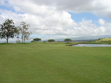 �r�b�O�A�C�����h�J���g���[�N���u 2004�N