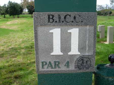 �r�b�O�A�C�����h�J���g���[�N���u 2004�N