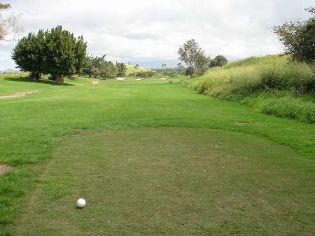 �r�b�O�A�C�����h�J���g���[�N���u 2004�N