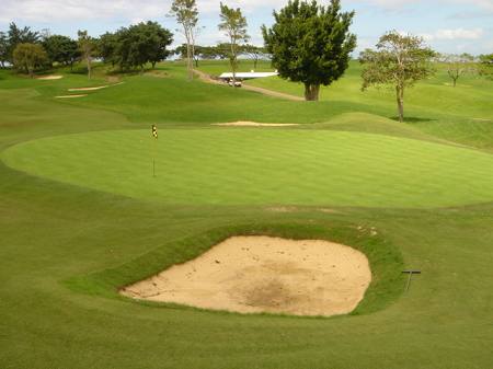 �r�b�O�A�C�����h�J���g���[�N���u 2004�N