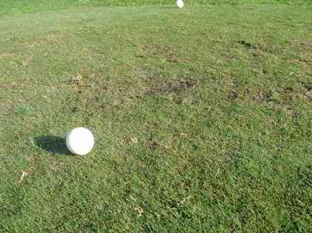 �r�b�O�A�C�����h�J���g���[�N���u 2004�N