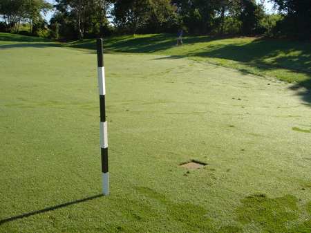 �r�b�O�A�C�����h�J���g���[�N���u 2004�N