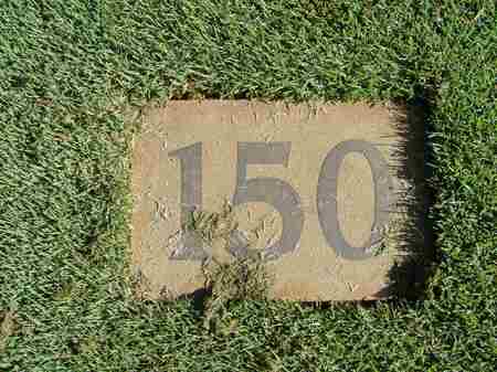 �r�b�O�A�C�����h�J���g���[�N���u 2004�N