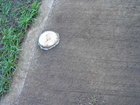 �r�b�O�A�C�����h�J���g���[�N���u 2004�N