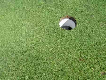 �r�b�O�A�C�����h�J���g���[�N���u 2004�N