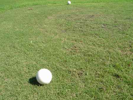 �r�b�O�A�C�����h�J���g���[�N���u 2004�N