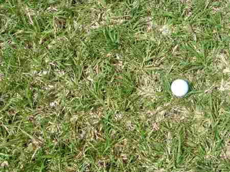 �r�b�O�A�C�����h�J���g���[�N���u 2004�N