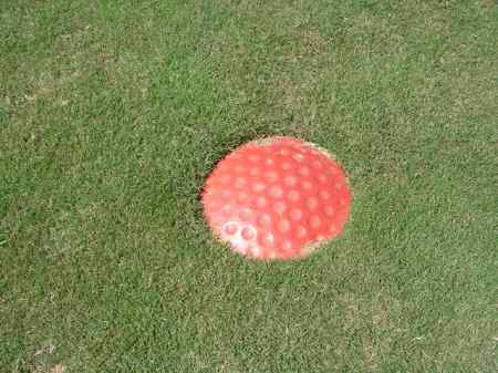 �r�b�O�A�C�����h�J���g���[�N���u 2004�N