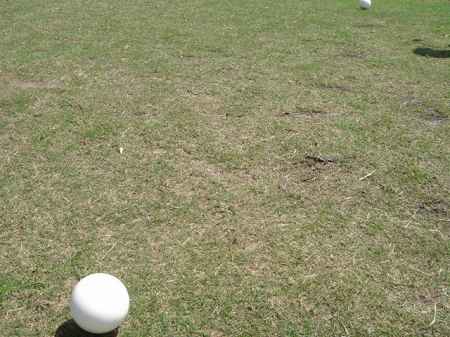 �r�b�O�A�C�����h�J���g���[�N���u 2004�N