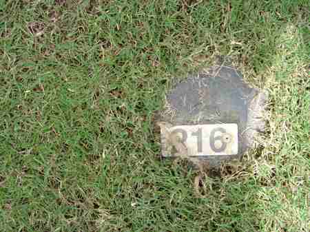 �r�b�O�A�C�����h�J���g���[�N���u 2004�N