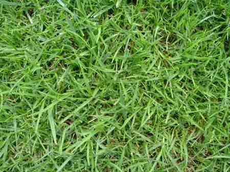 �r�b�O�A�C�����h�J���g���[�N���u 2004�N