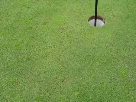 �r�b�O�A�C�����h�J���g���[�N���u 2004�N