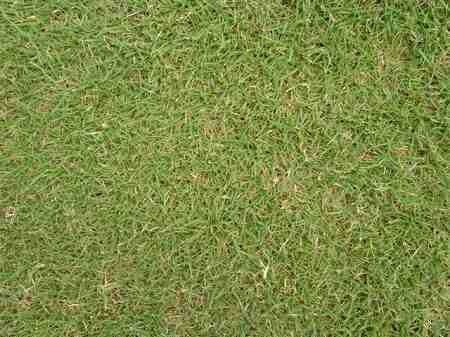 �r�b�O�A�C�����h�J���g���[�N���u 2004�N