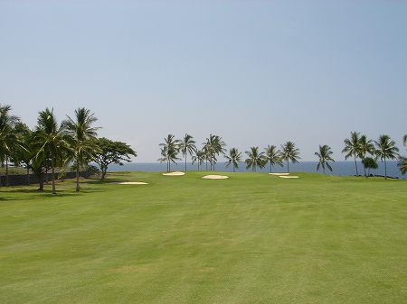 �R�i�J���g���[�N���u �I�[�V�����R�[�X 2006