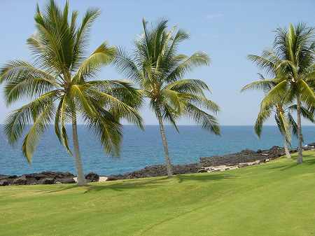 �R�i�J���g���[�N���u �I�[�V�����R�[�X 2006