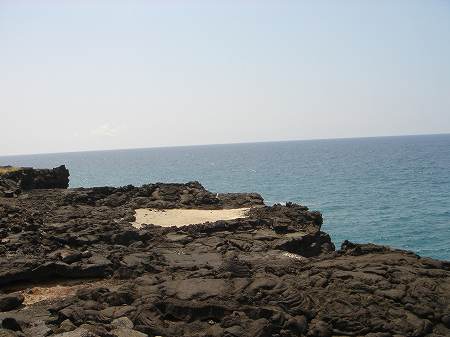 �R�i�J���g���[�N���u �I�[�V�����R�[�X 2006