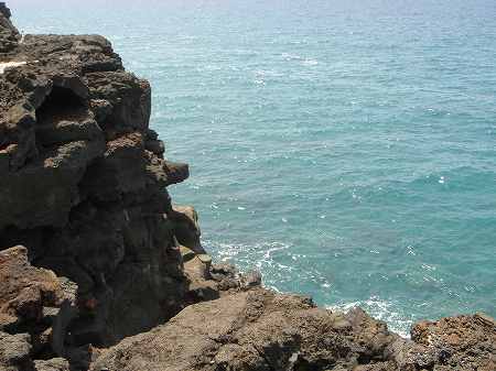 �R�i�J���g���[�N���u �I�[�V�����R�[�X 2006