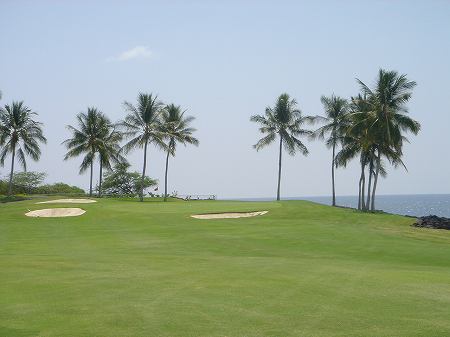 �R�i�J���g���[�N���u �I�[�V�����R�[�X 2006