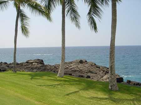 �R�i�J���g���[�N���u �I�[�V�����R�[�X 2006