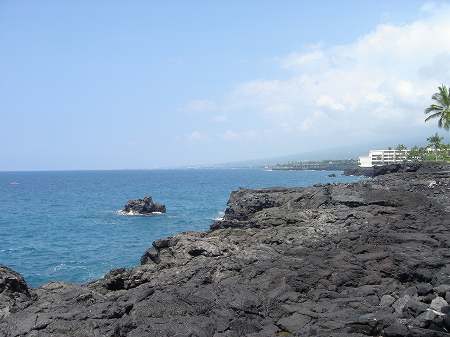 �R�i�J���g���[�N���u �I�[�V�����R�[�X 2006