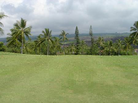 �R�i�J���g���[�N���u �I�[�V�����R�[�X 2006