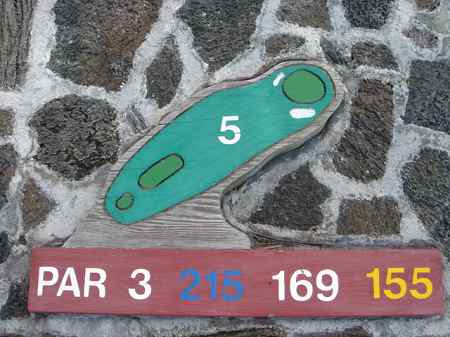 �R�i�J���g���[�N���u �I�[�V�����R�[�X 2006