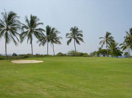 �R�i�J���g���[�N���u �I�[�V�����R�[�X 2006