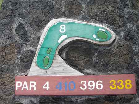 �R�i�J���g���[�N���u �I�[�V�����R�[�X 2006