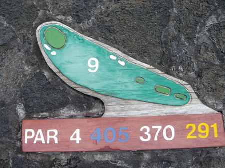 �R�i�J���g���[�N���u �I�[�V�����R�[�X 2006