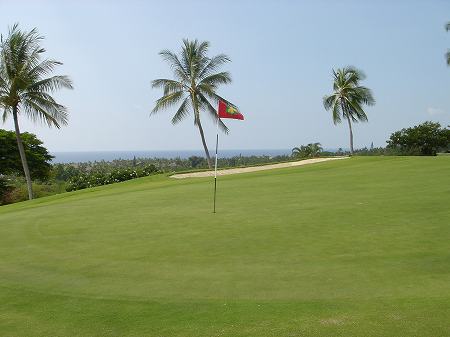 �R�i�J���g���[�N���u �I�[�V�����R�[�X 2006