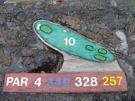 �R�i�J���g���[�N���u �I�[�V�����R�[�X 2006