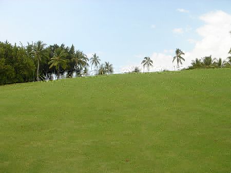 �R�i�J���g���[�N���u �I�[�V�����R�[�X 2006