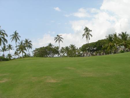 �R�i�J���g���[�N���u �I�[�V�����R�[�X 2006