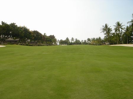 �R�i�J���g���[�N���u �I�[�V�����R�[�X 2006