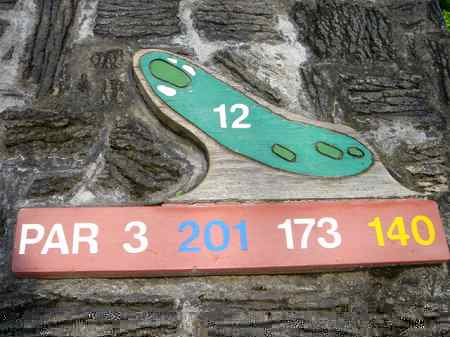 �R�i�J���g���[�N���u �I�[�V�����R�[�X 2006