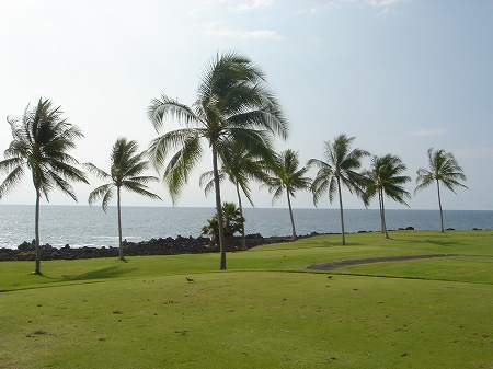 �R�i�J���g���[�N���u �I�[�V�����R�[�X 2006