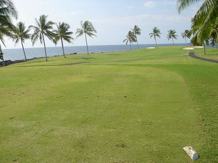 �R�i�J���g���[�N���u �I�[�V�����R�[�X 2006