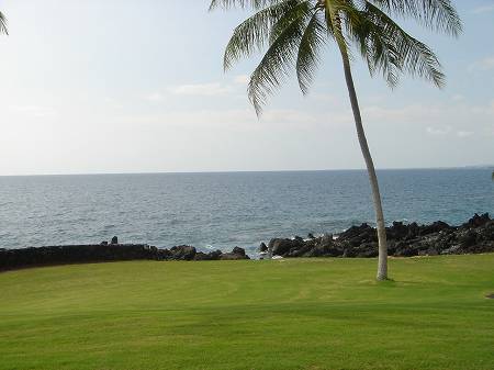 �R�i�J���g���[�N���u �I�[�V�����R�[�X 2006