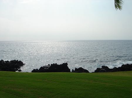 �R�i�J���g���[�N���u �I�[�V�����R�[�X 2006