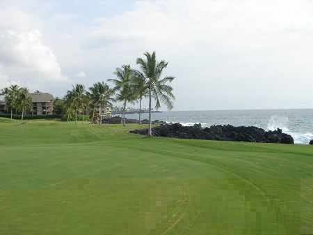 �R�i�J���g���[�N���u �I�[�V�����R�[�X 2006