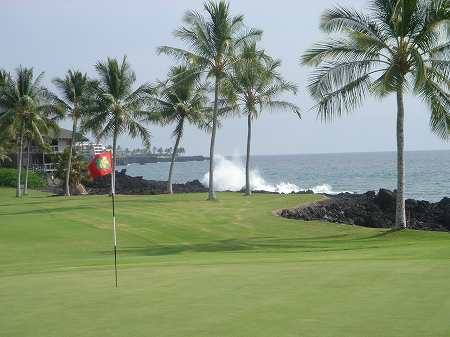 �R�i�J���g���[�N���u �I�[�V�����R�[�X 2006