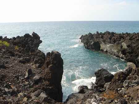 �R�i�J���g���[�N���u �I�[�V�����R�[�X 2006