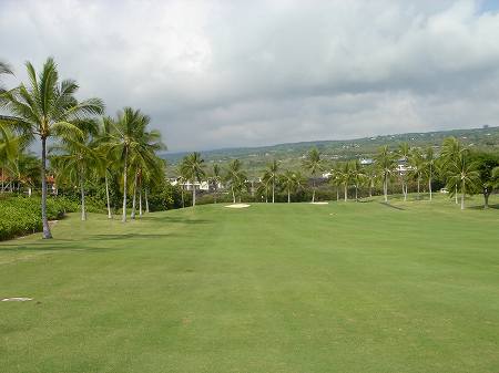 �R�i�J���g���[�N���u �I�[�V�����R�[�X 2006