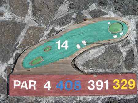 �R�i�J���g���[�N���u �I�[�V�����R�[�X 2006