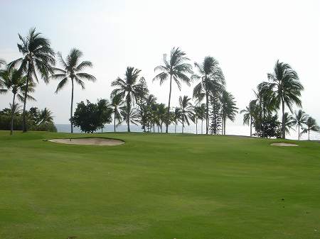 �R�i�J���g���[�N���u �I�[�V�����R�[�X 2006