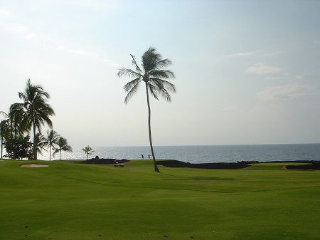 �R�i�J���g���[�N���u �I�[�V�����R�[�X 2006