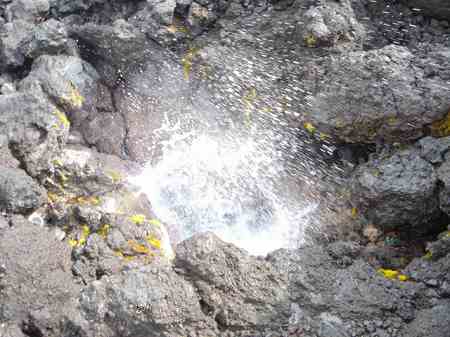 �R�i�J���g���[�N���u �I�[�V�����R�[�X 2006